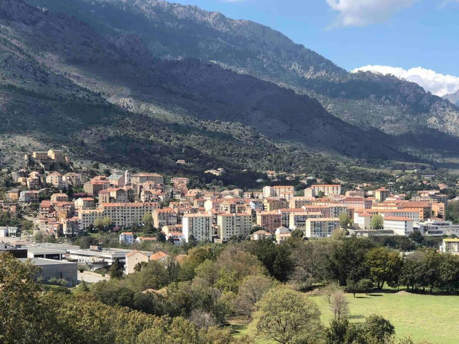 Magnifique Dans Neuve